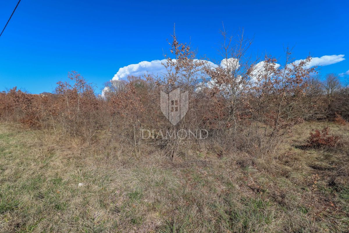 Barban, dintorni, ampio terreno per nuovi progetti