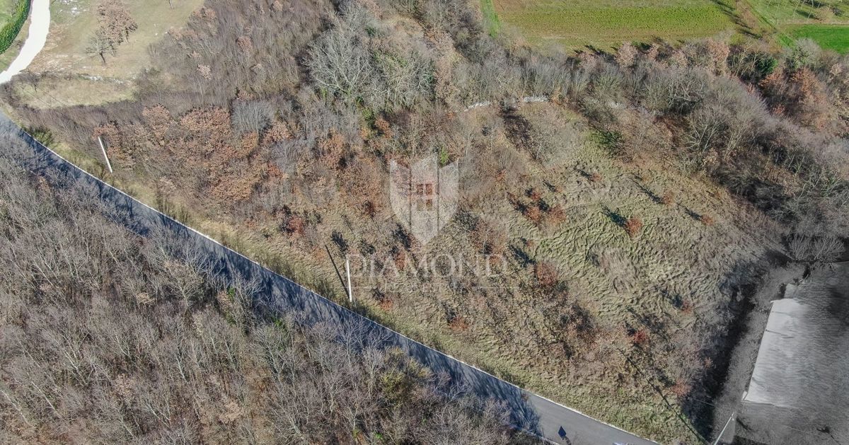 Barban, dintorni, ampio terreno per nuovi progetti