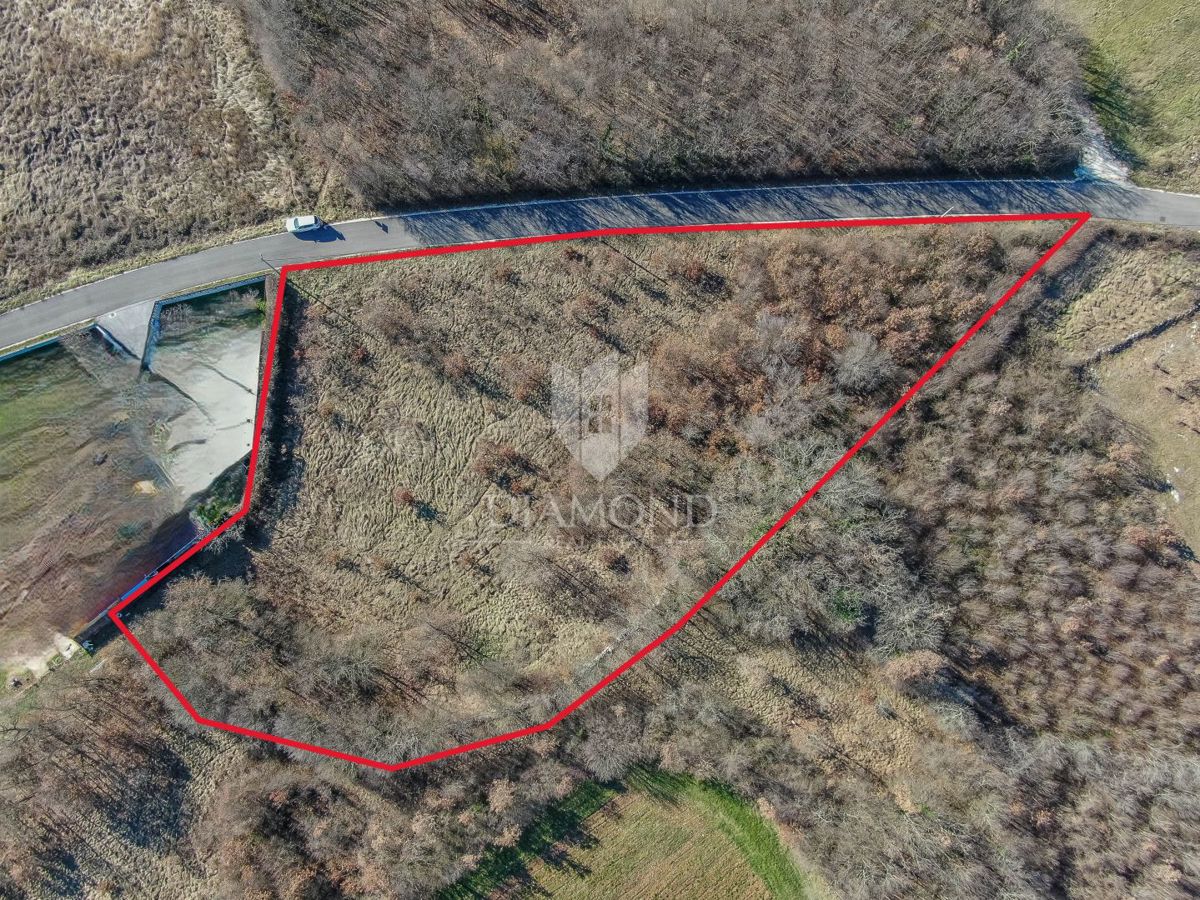 Barban, dintorni, ampio terreno per nuovi progetti