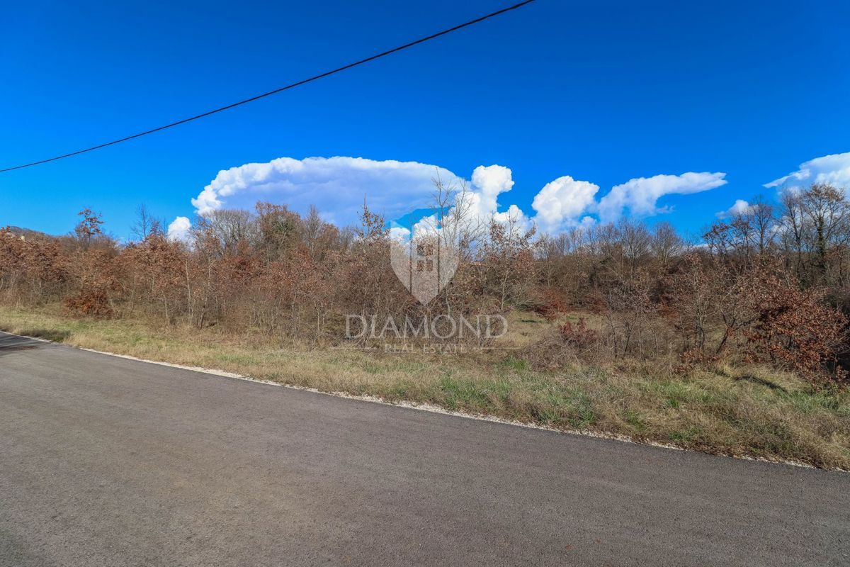 Barban, dintorni, ampio terreno per nuovi progetti