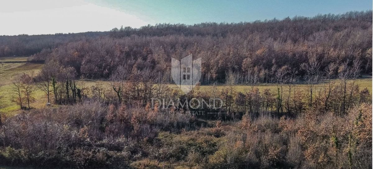 Istria, terreno edificabile Barban