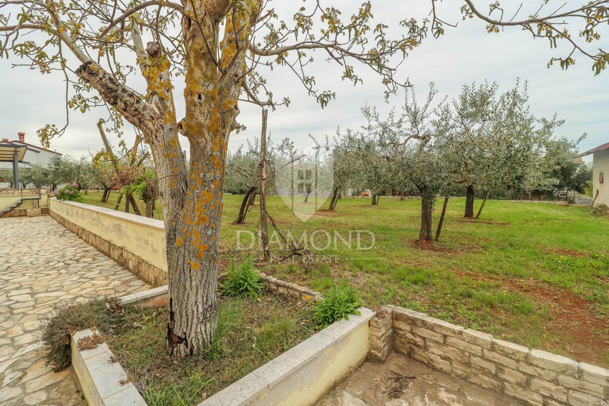 Parenzo, dintorni di case con ampio giardino e vista mare