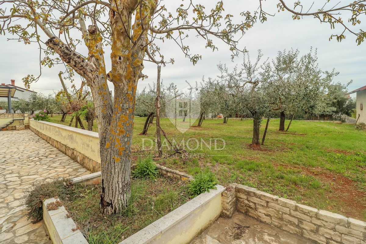 Parenzo, dintorni di case con ampio giardino e vista mare