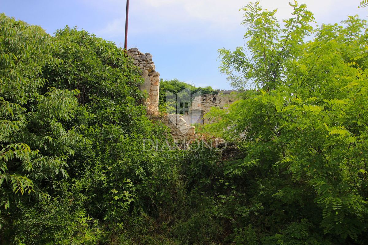 Albona, dintorni, antica casa da ristrutturare con terreno edificabile