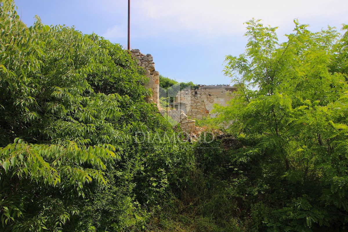 Albona, dintorni, antica casa da ristrutturare con terreno edificabile