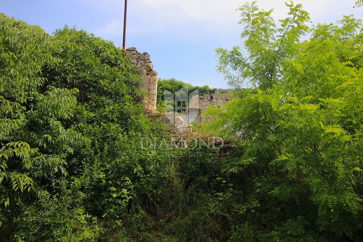 Albona, dintorni, antica casa da ristrutturare con terreno edificabile