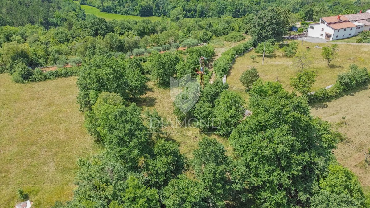 Dintorni di Grisignana, terreno edificabile in una posizione tranquilla