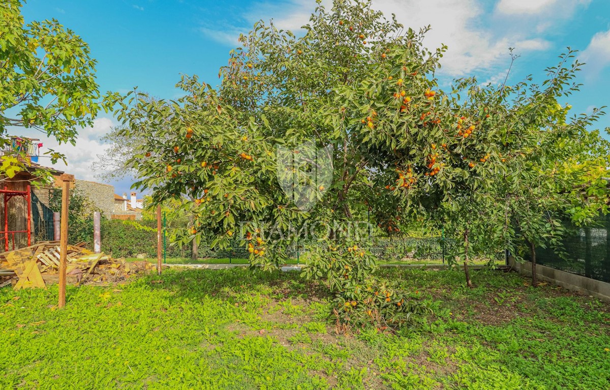 Verteneglio, casa con spazio ufficio!