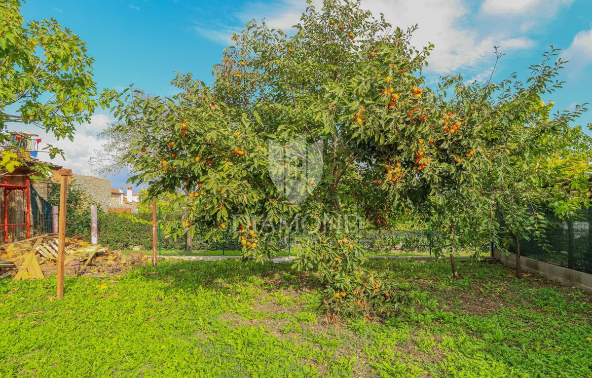Verteneglio, casa per investimenti con spazio commerciale!