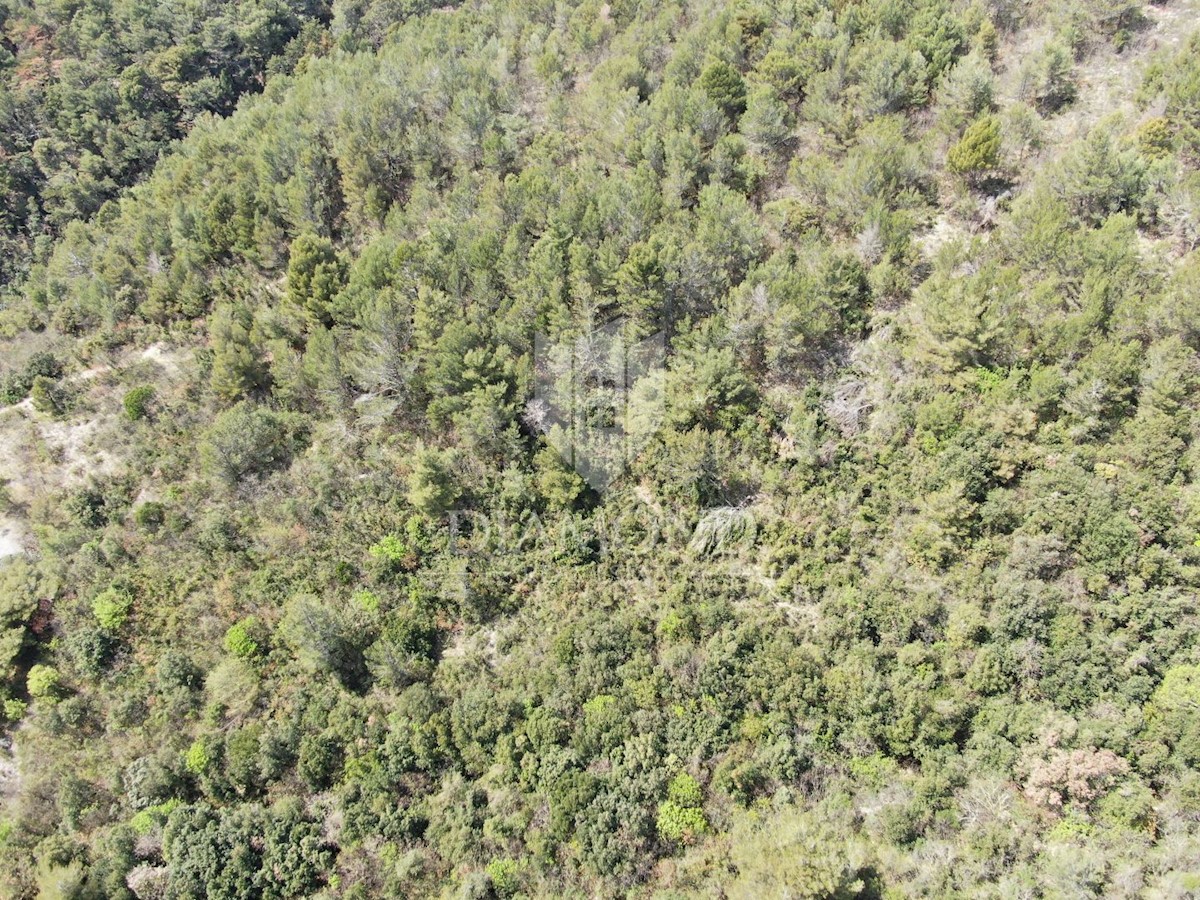 Rabac, terreno edificabile e costruzione di appartamenti, vista mare