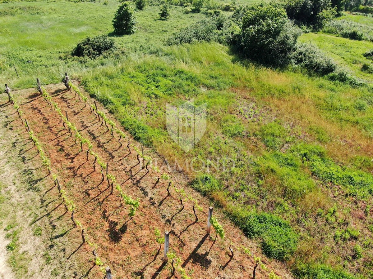 Marčana, attraente terreno edificabile