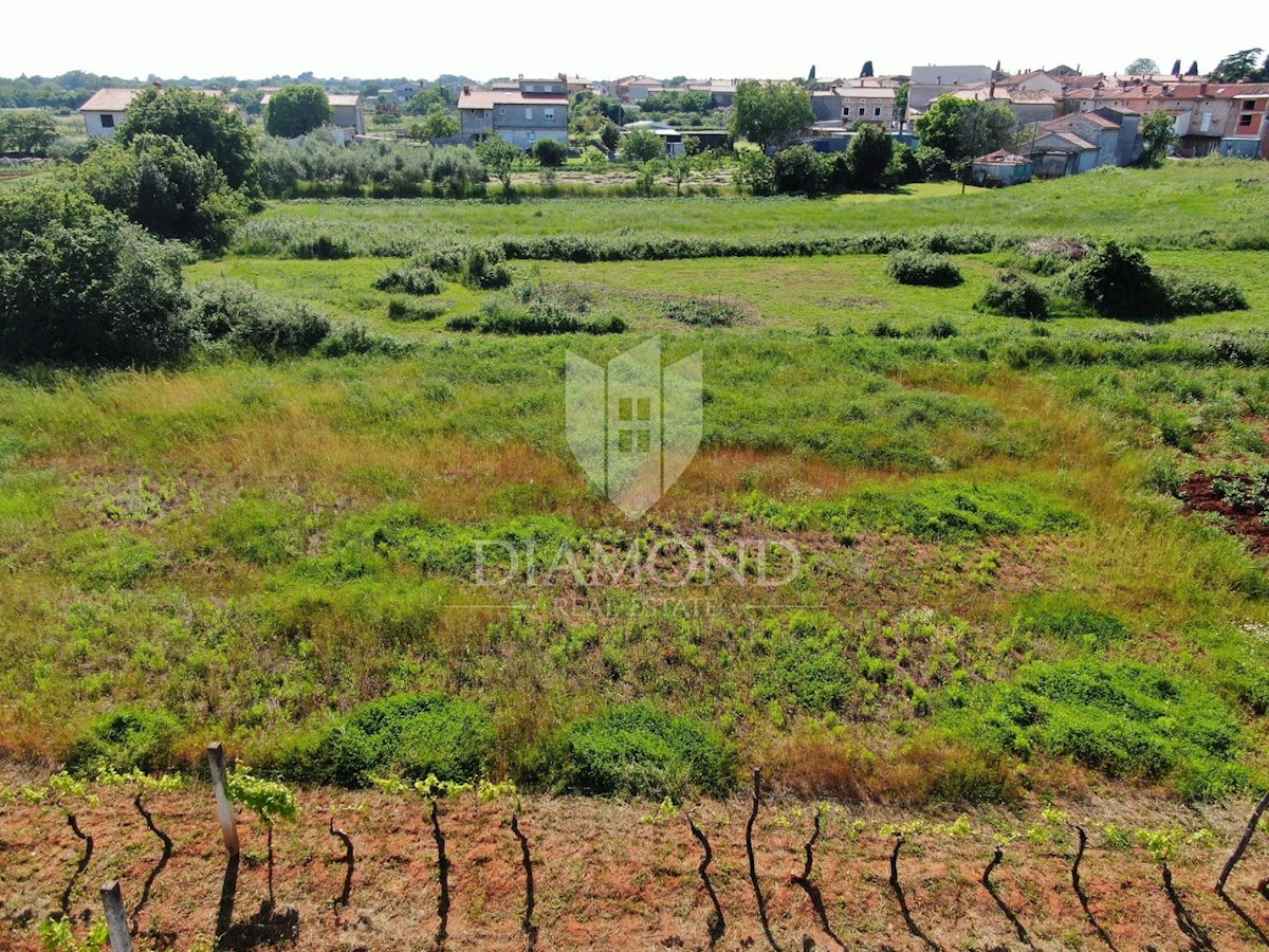 Marčana, attraente terreno edificabile