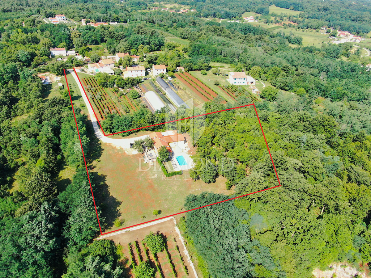 Labin, dintorni, bella casa per le vacanze in una zona isolata