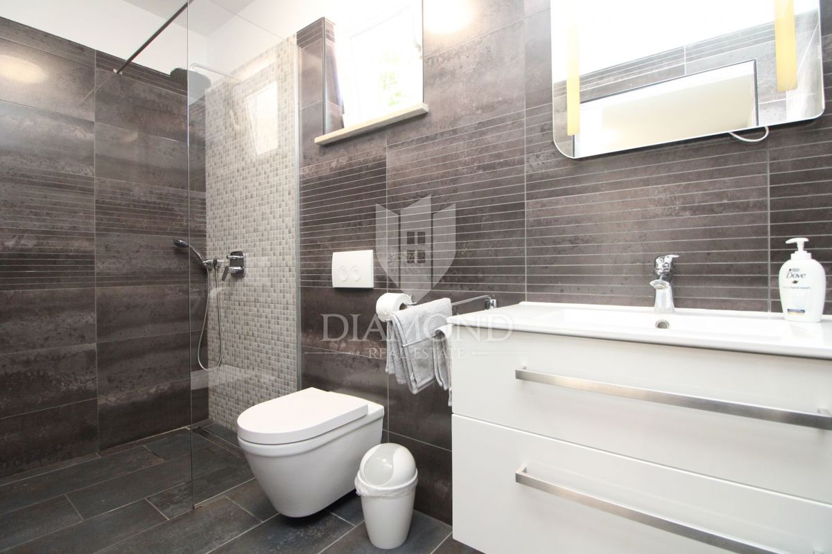 Labin, dintorni, bella casa per le vacanze in una zona isolata