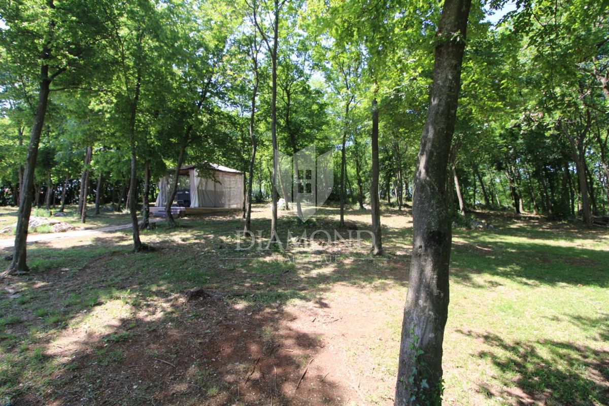 Labin, dintorni, bella casa per le vacanze in una zona isolata