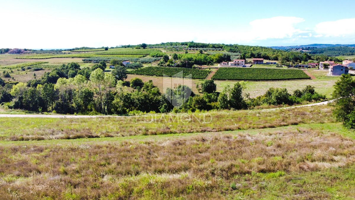 Parenzo, dintorni, terreno edificabile con una vista fantastica!