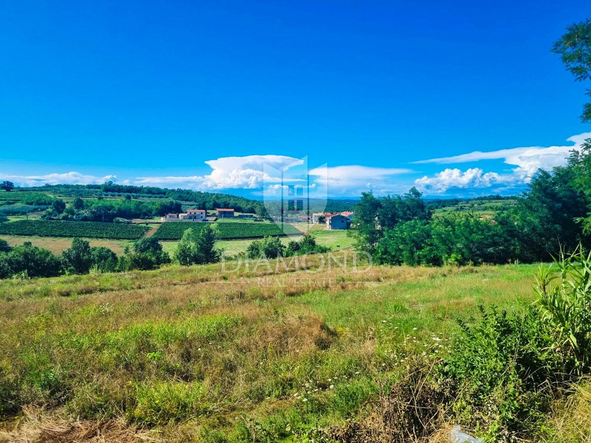 Parenzo, dintorni, terreno edificabile con una vista fantastica!