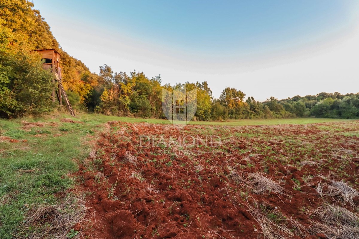 Rovigno, un terreno appartato spazioso e fiabesco