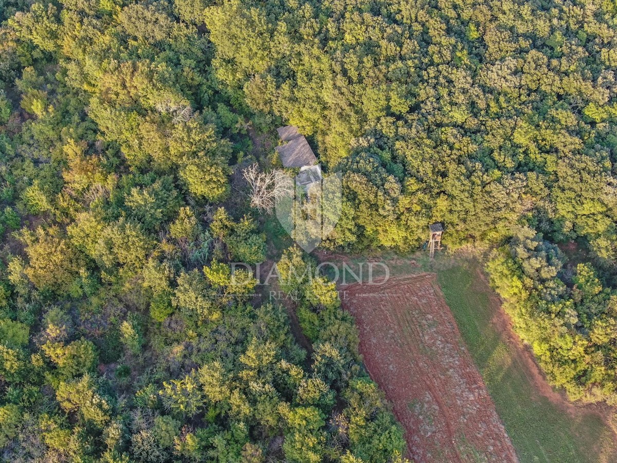 Rovigno, un terreno appartato spazioso e fiabesco