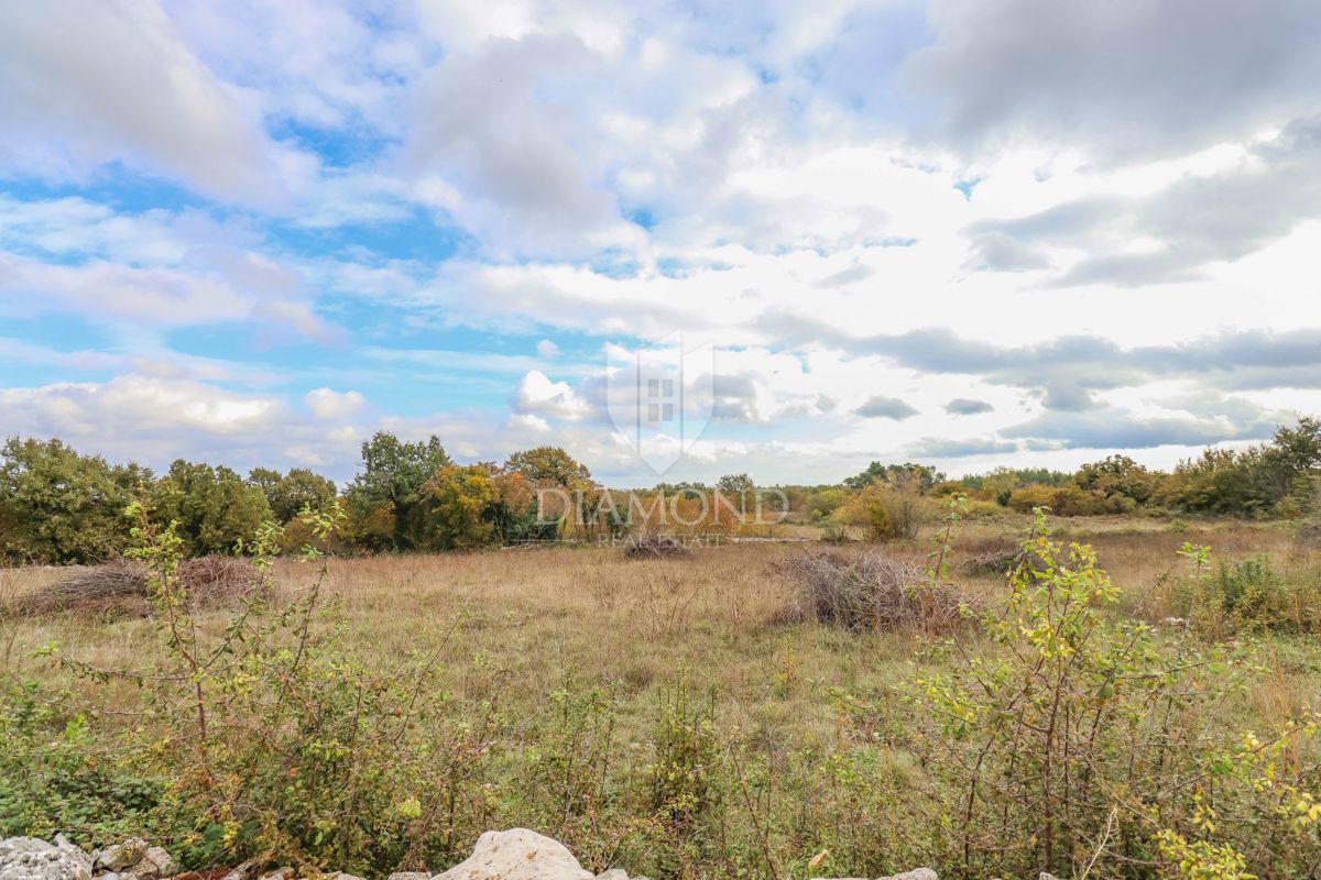 Marčana, dintorni, grande terra per nuovi progetti