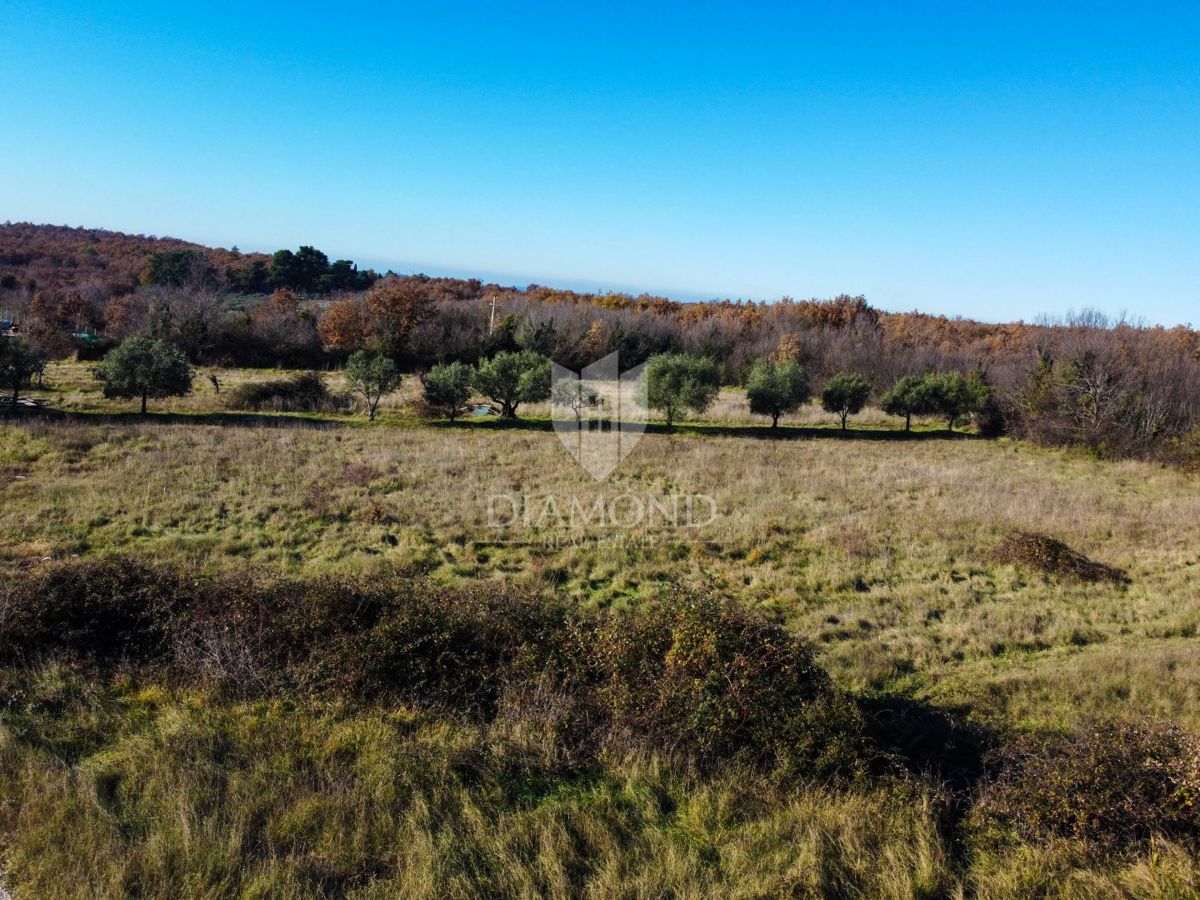 Terreno Poreč, 1.251m2