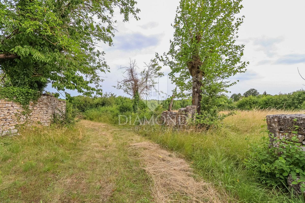 Super terreno vicino a Gimino per la costruzione di una casa