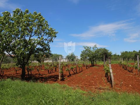 Barban, terreno attraente con progetto preliminare