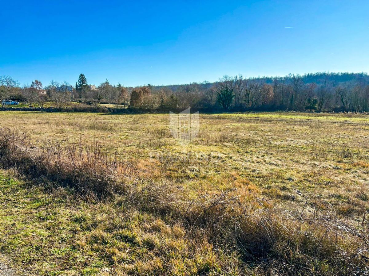 Parenzo, dintorni, bellissimo terreno edificabile con potenziale!