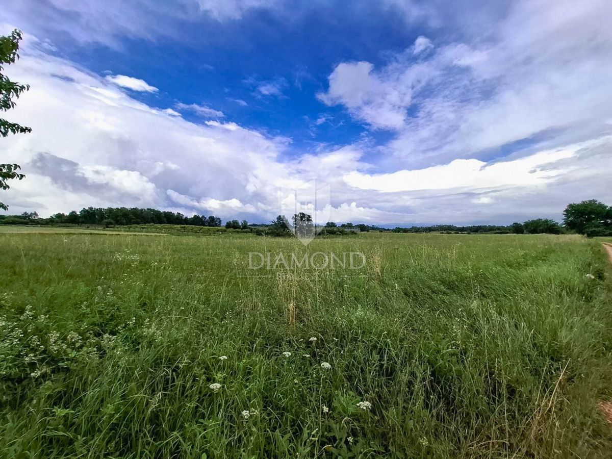 Kaštelir, terreno agricolo pieno di potenziale!