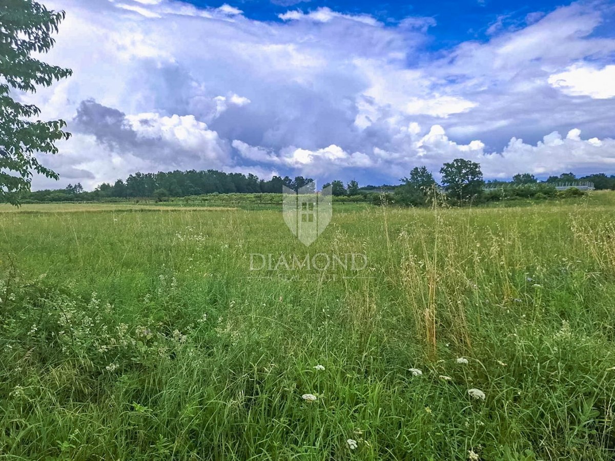 Kaštelir, terreno agricolo pieno di potenziale!