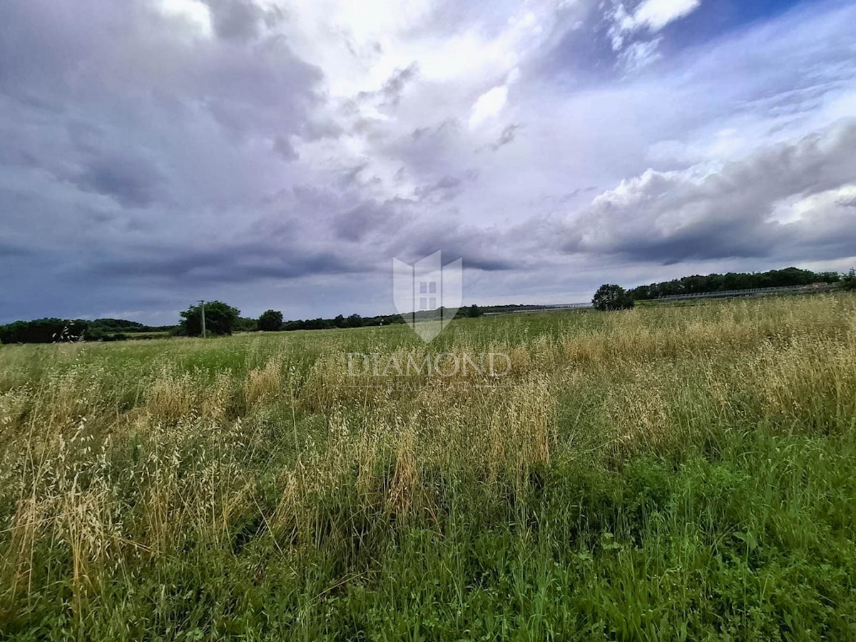 Kaštelir, terreno agricolo pieno di potenziale!