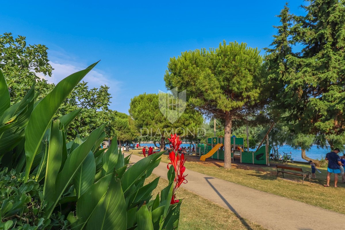 Opportunità a Cittanova! Stanze con accesso alla spiaggia!