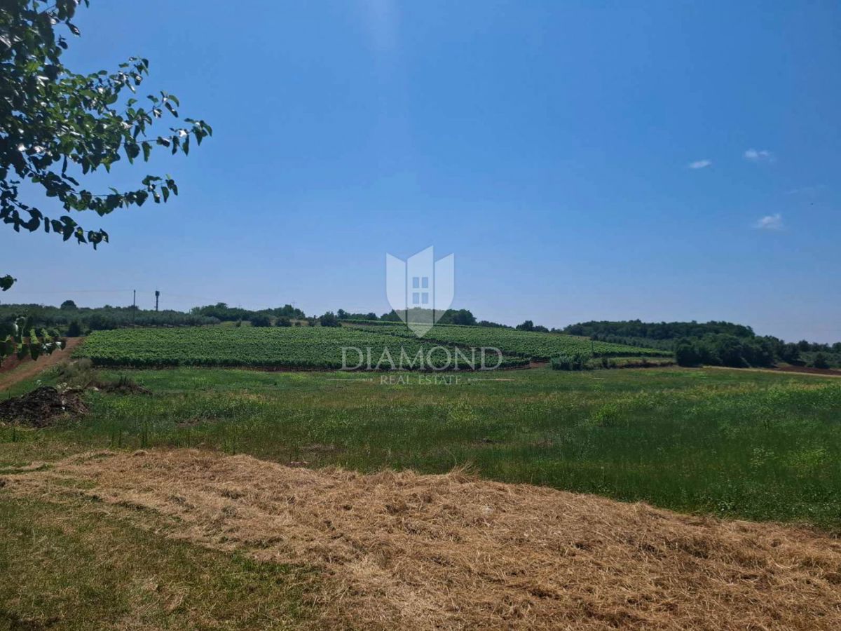 Terreno Poreč, 796m2