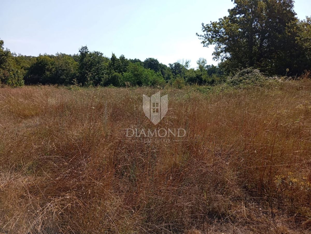 Albona, dintorni, ampio terreno edificabile