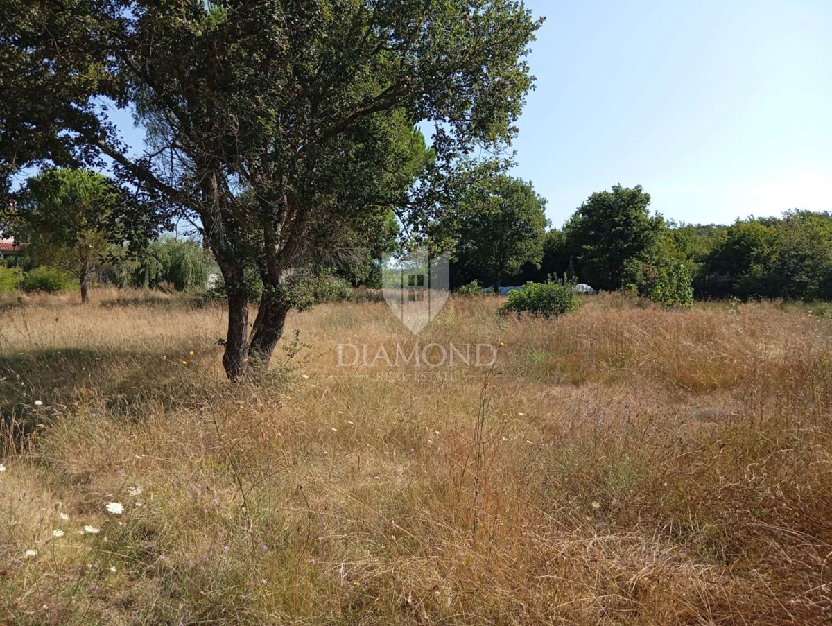 Albona, dintorni, ampio terreno edificabile