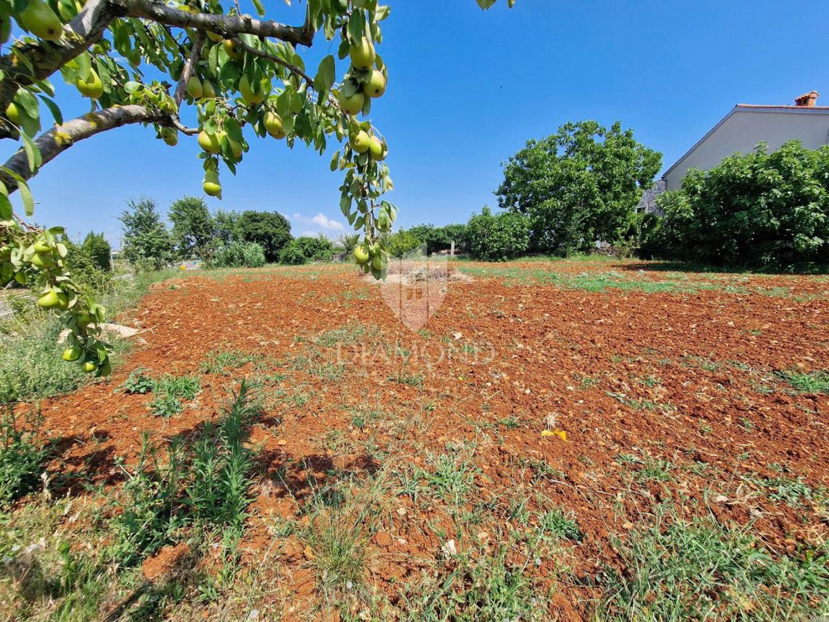 Terreno Novigrad, 1.119m2