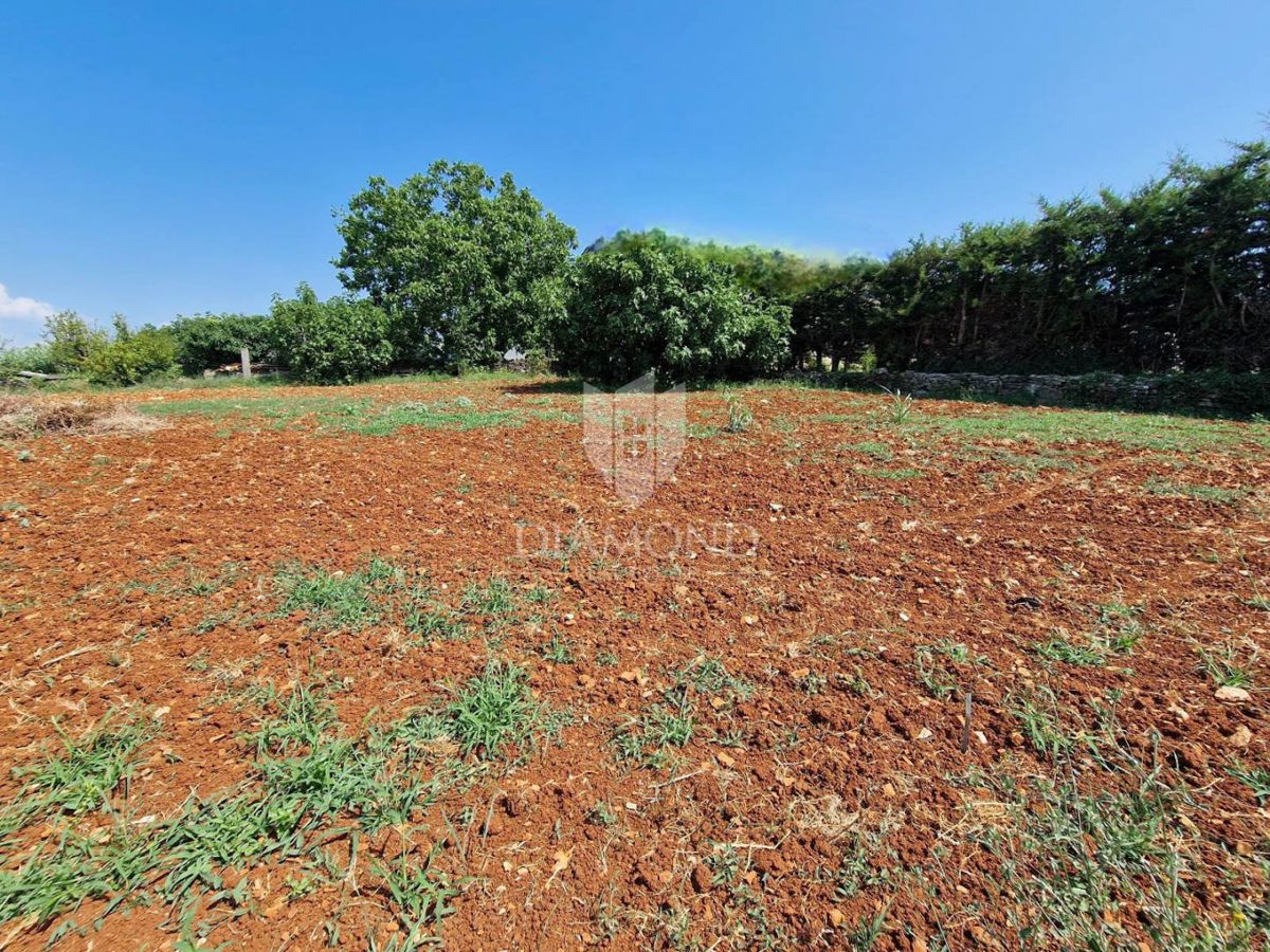 Terreno Novigrad, 1.119m2