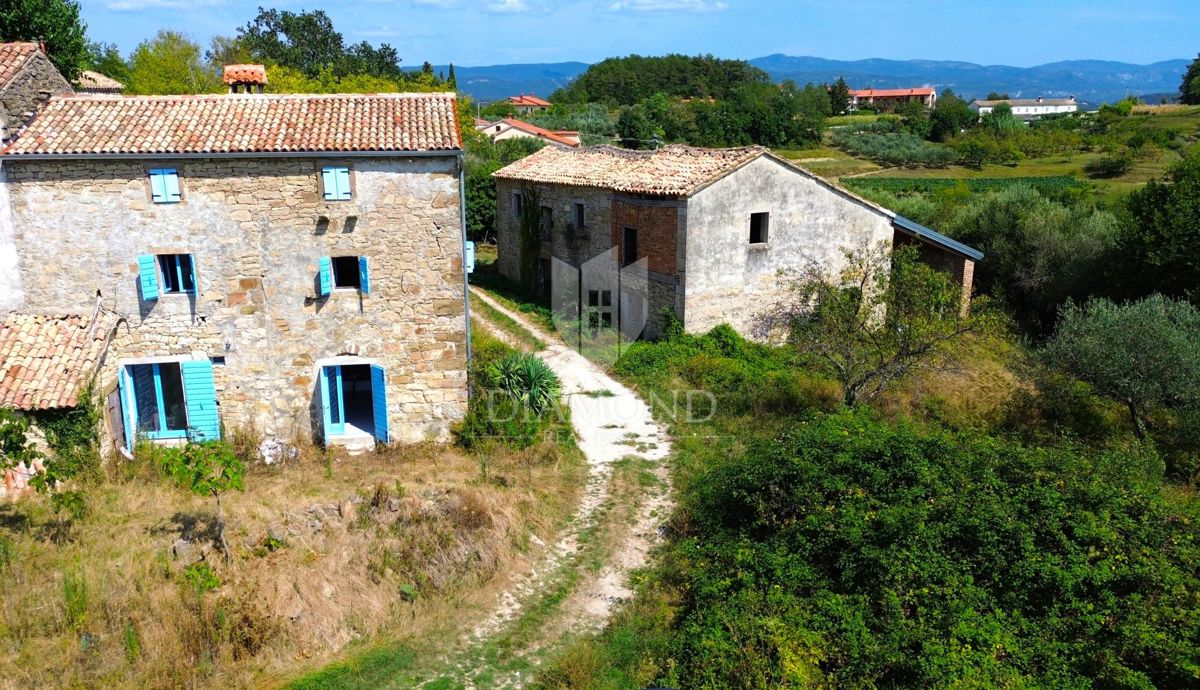 Cerovlje, dintorni, proprietà con due case in pietra e uliveti su un terreno edificabile