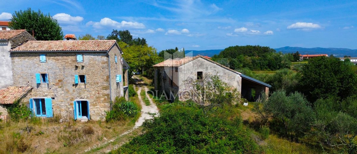 Cerovlje, dintorni, proprietà con due case in pietra e uliveti su un terreno edificabile