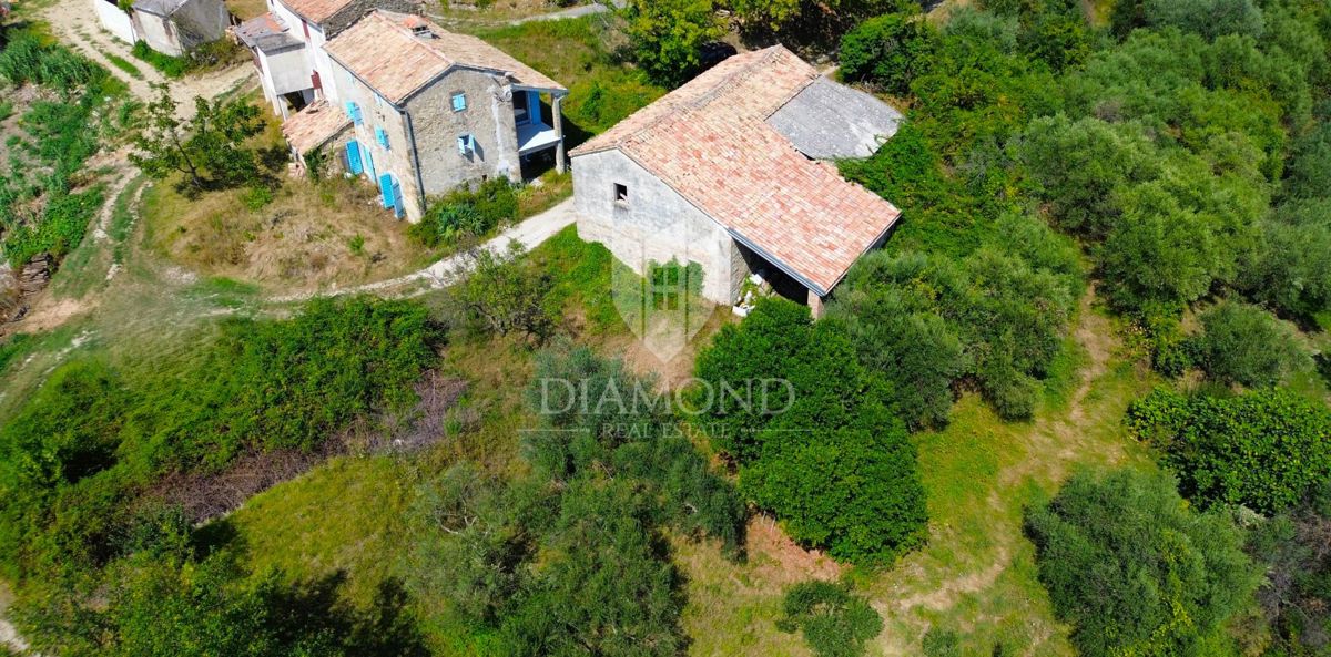 Cerovlje, dintorni, proprietà con due case in pietra e uliveti su un terreno edificabile