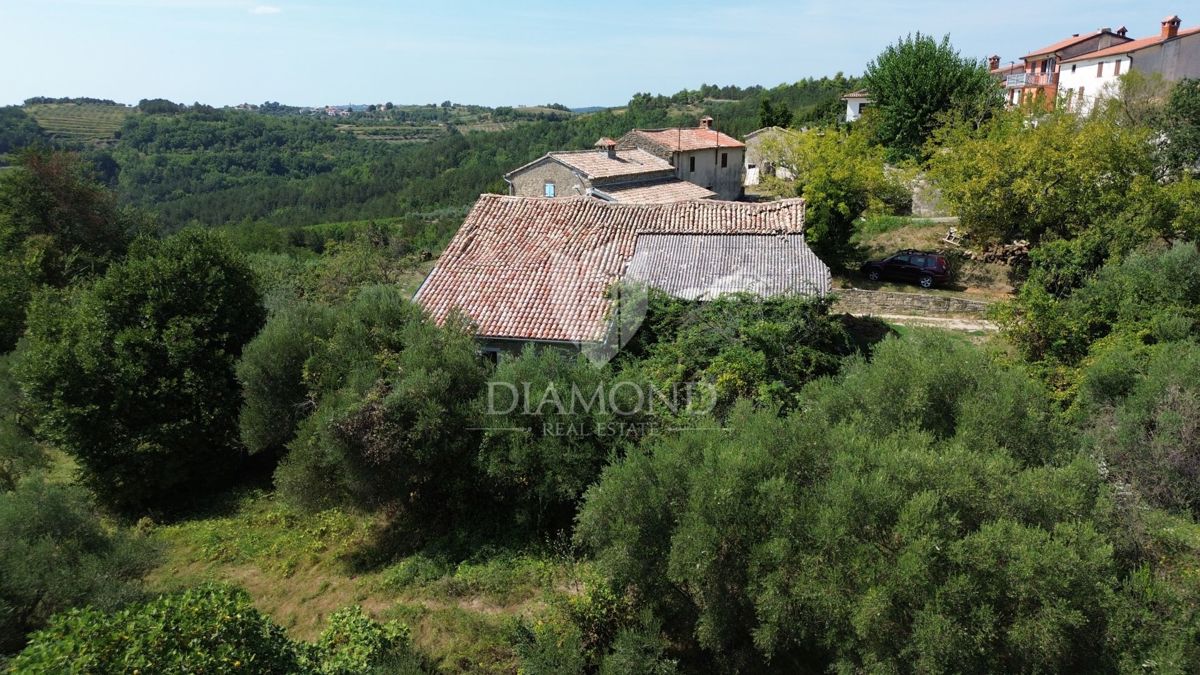 Cerovlje, dintorni, proprietà con due case in pietra e uliveti su un terreno edificabile