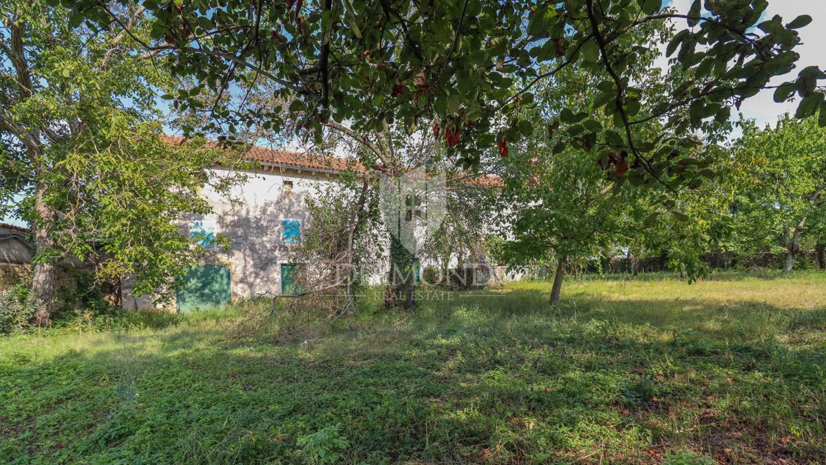 Svetvinčenat, casa in pietra con ampio giardino