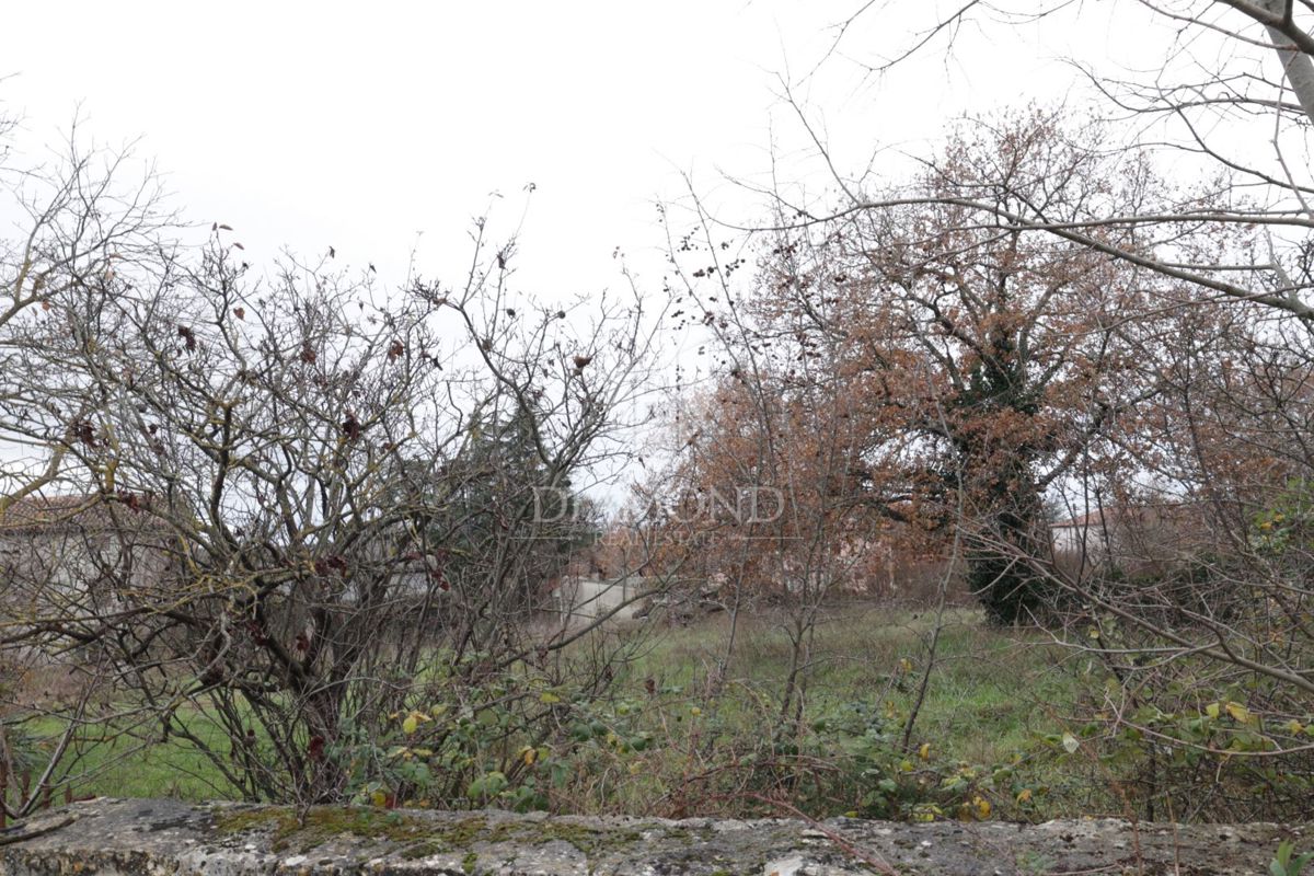 Terreno edificabile vicino a Rovigno, posizione ricercata!