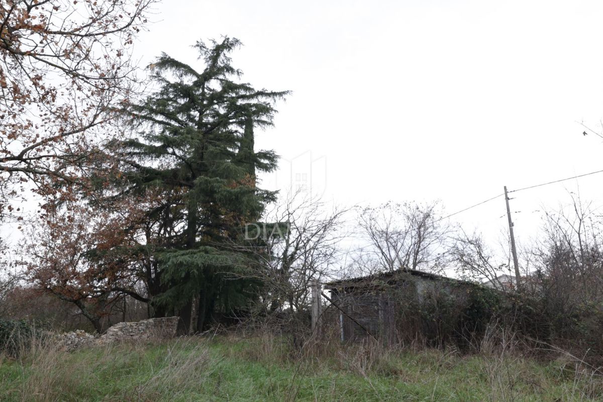 Terreno edificabile vicino a Rovigno, posizione ricercata!