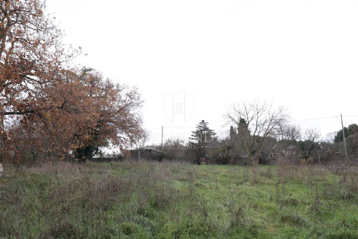 Terreno edificabile vicino a Rovigno, posizione ricercata!