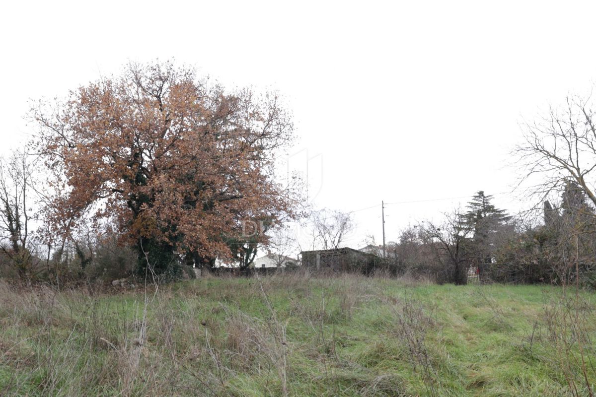 Terreno edificabile vicino a Rovigno, posizione ricercata!