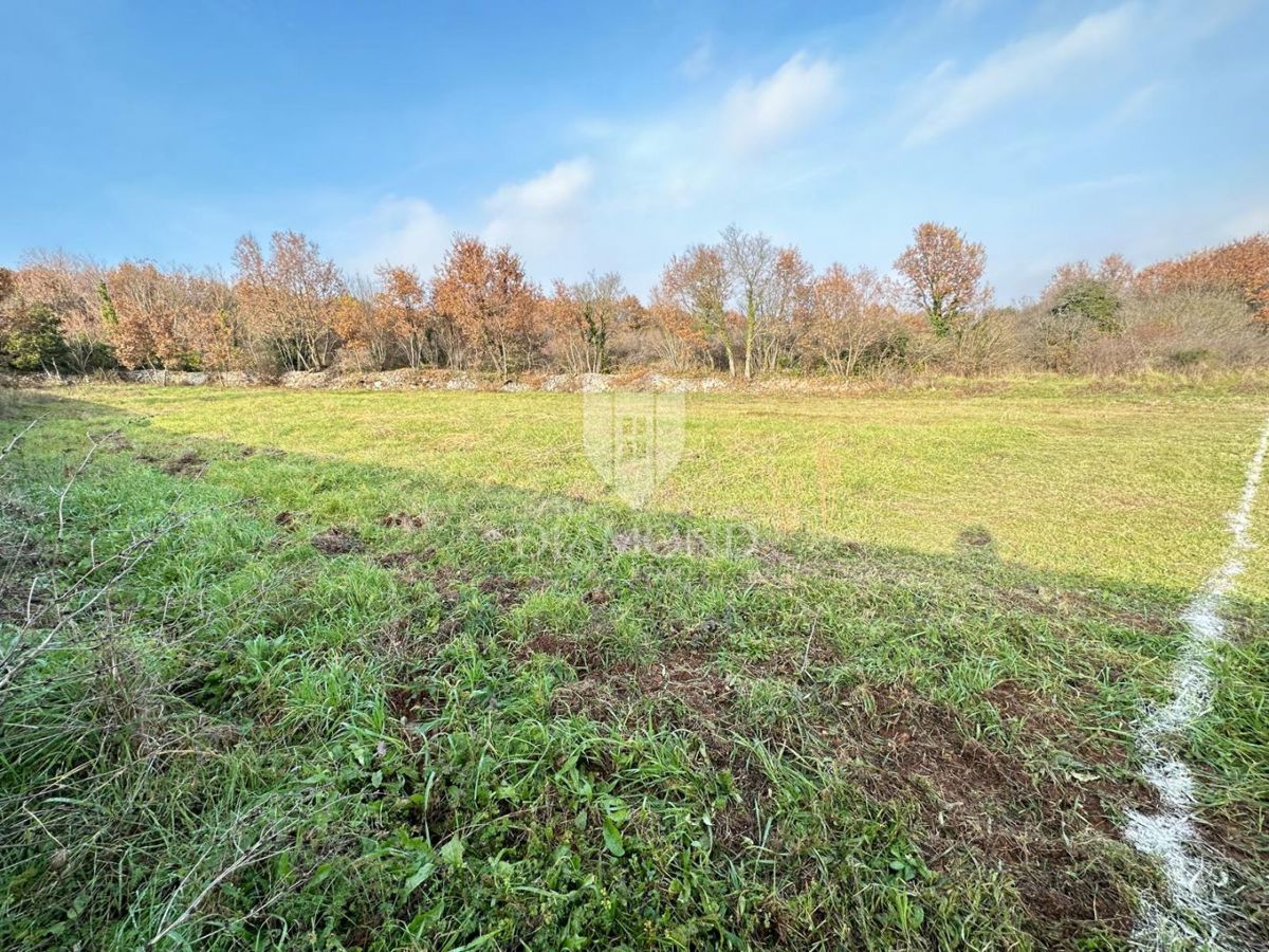 Istria, Terreno edificabile a 3 km dal mare