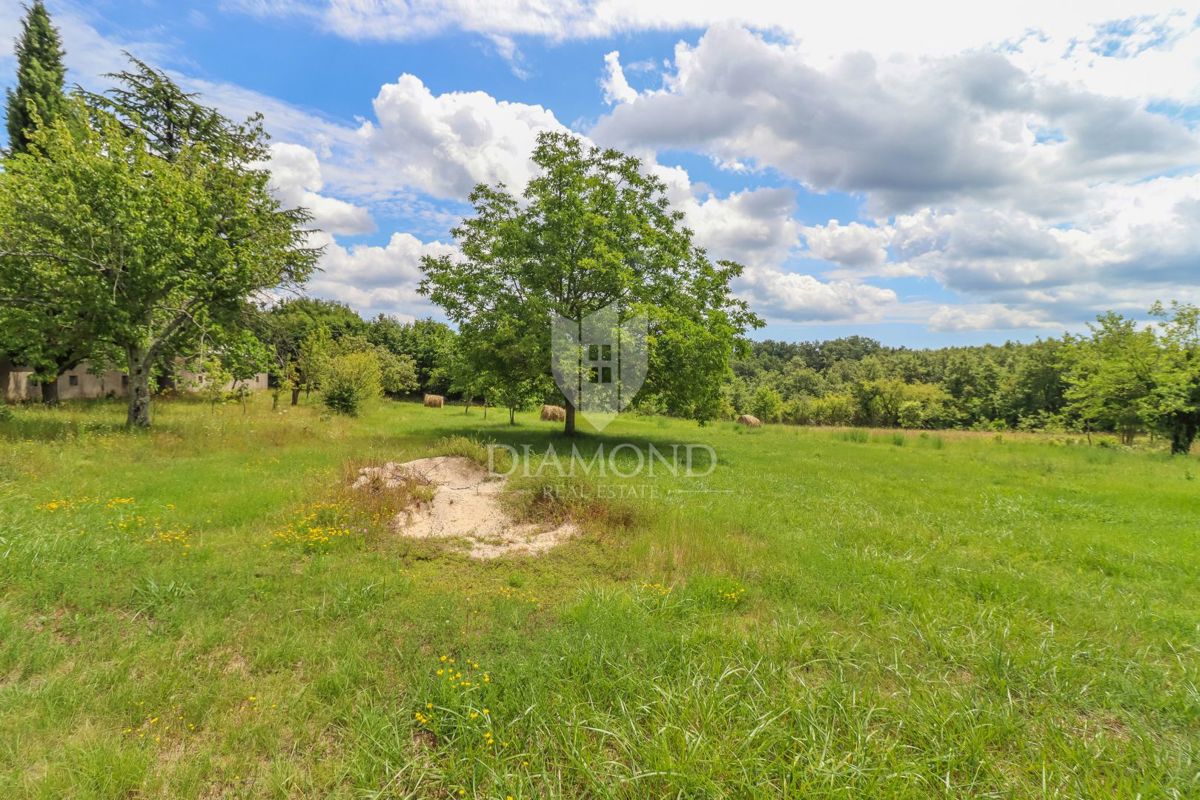 Gimino, dintorni, terreno per una casa in una zona tranquilla