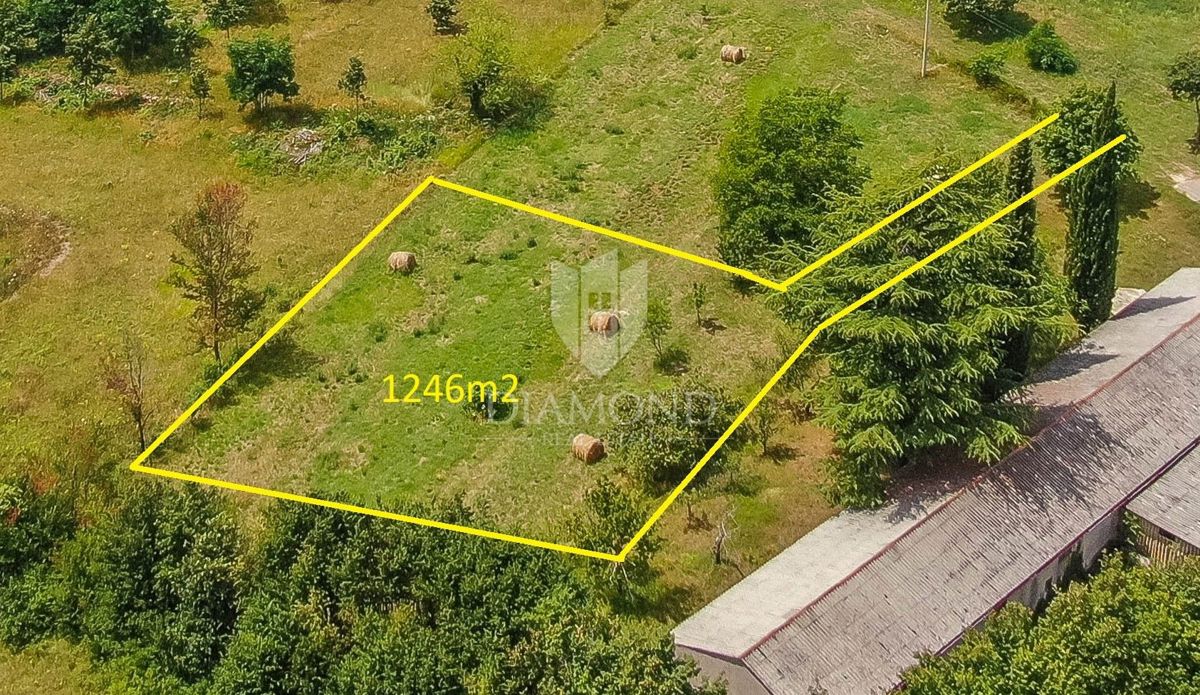 Gimino, dintorni, terreno per una casa in una zona tranquilla