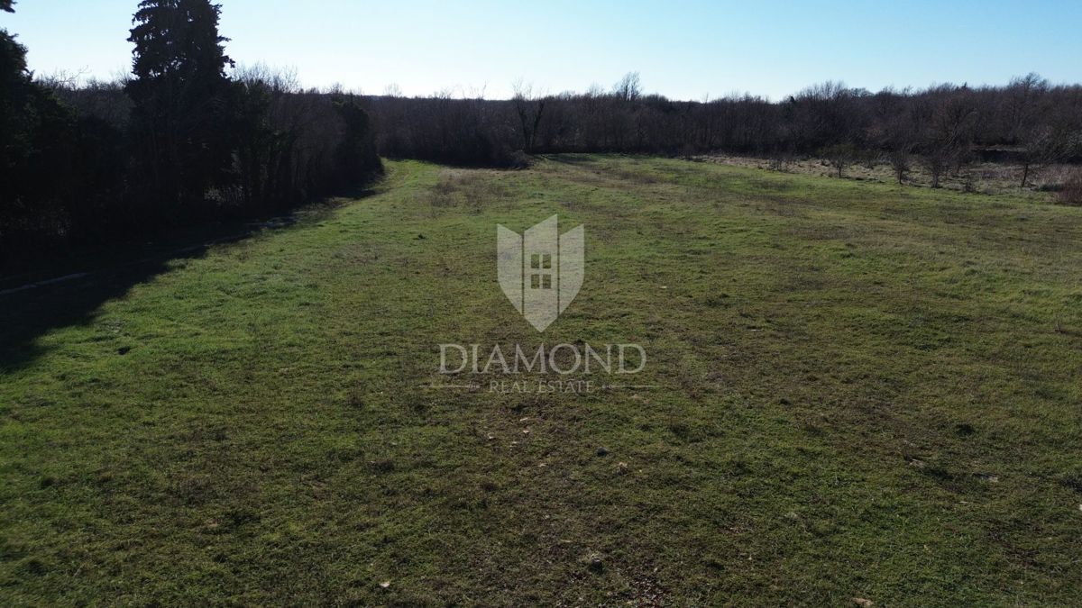 Ampio terreno agricolo ai margini dell'urbanizzazione